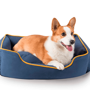dog-bed-300x300